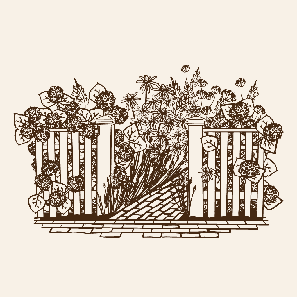 illustration of a hydrangea lined brick path and picket fence