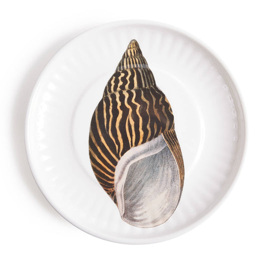 Conch Shell Paper Plate Style Melamine 9" -SALE