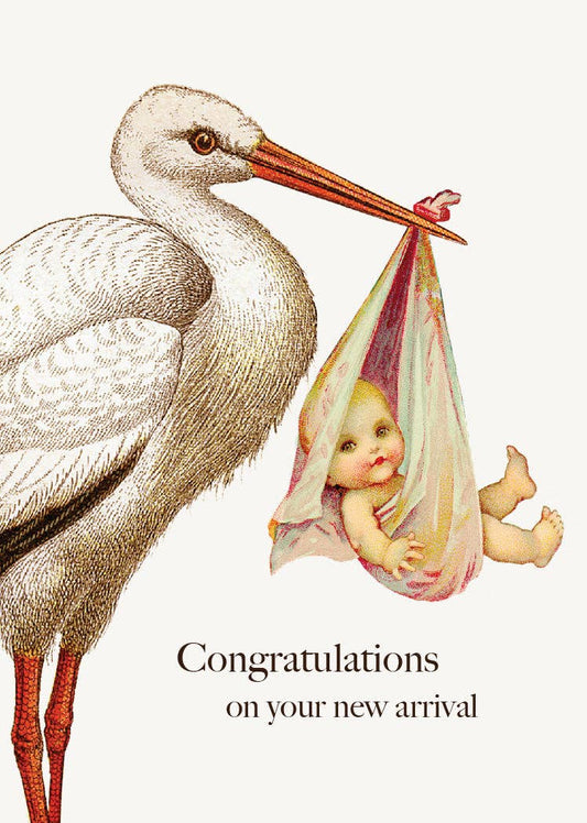 Congratulations Stork • Mini Enclosure Card