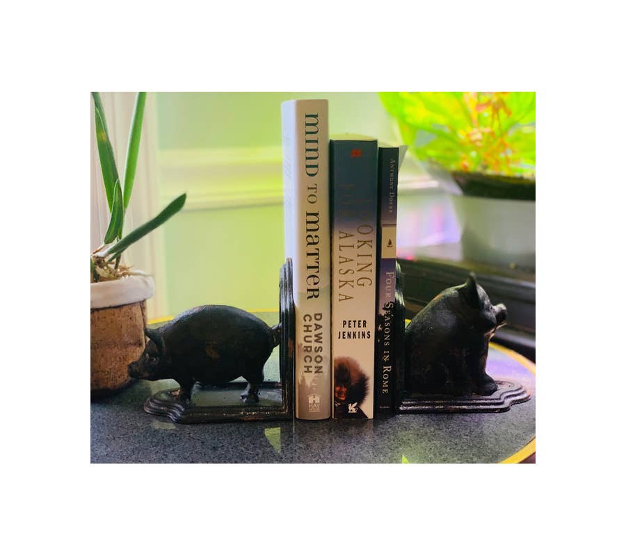Iron Pig Bookends