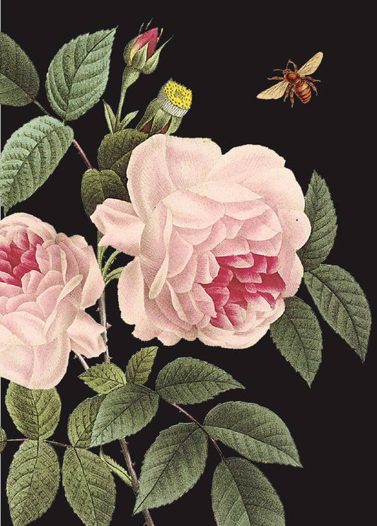 Pink Roses • Mini Enclosure Card
